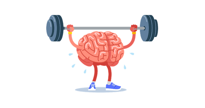 Piylənmə beyin üçün təhlükəlidir: Yeni araşdırma beyin qabığının incəlməsini və zəif yaddaşı göstərir